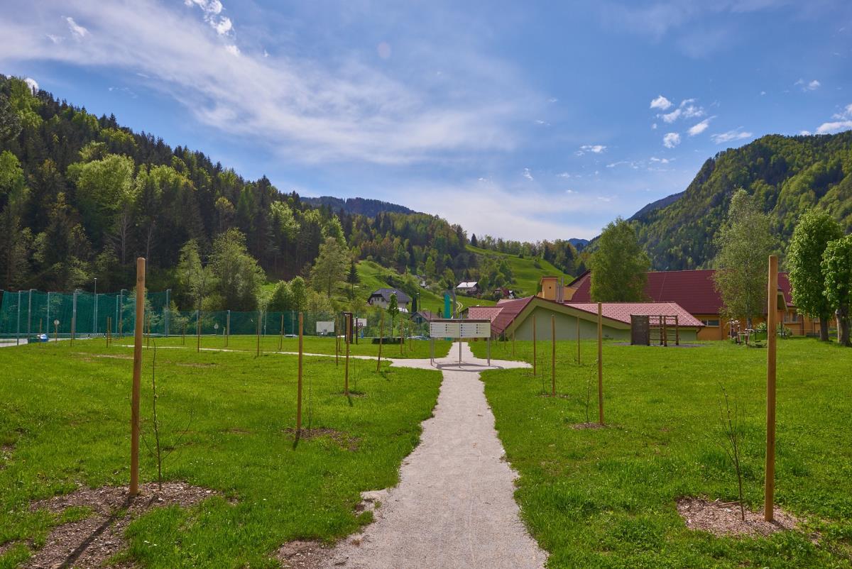 Park z drevoredom lip posvečen pomembnim posameznikom slovenskega čebelarstva